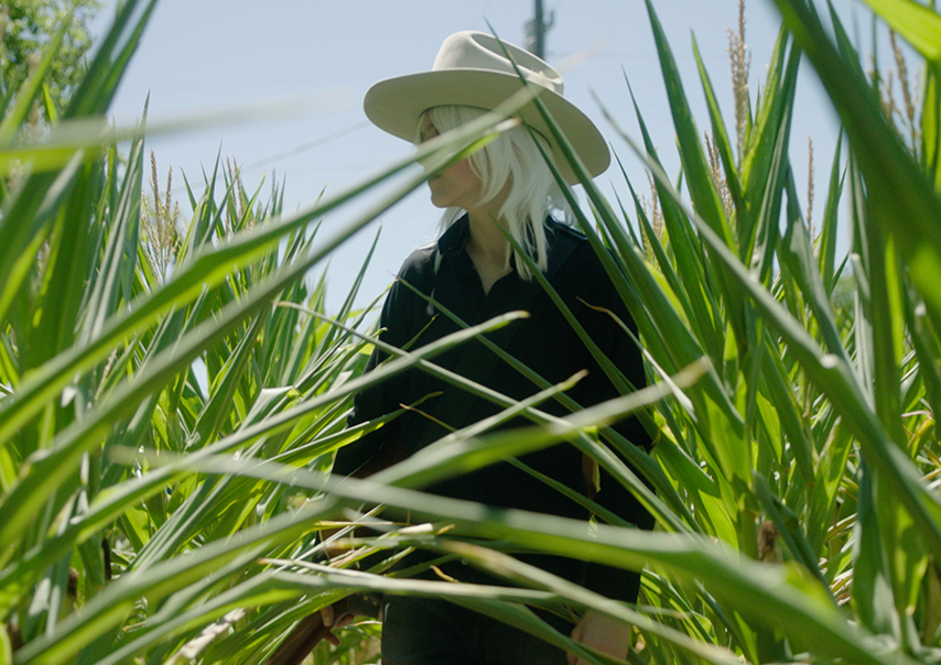 Edgar Winter – Lone Star Blues